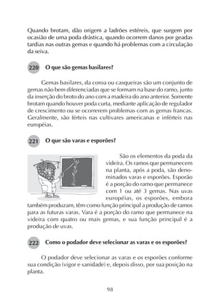 98
Quando brotam, dão origem a ladrões estéreis, que surgem por
ocasião de uma poda drástica, quando ocorrem danos por geadas
tardias nas outras gemas e quando há problemas com a circulação
da seiva.
O que são gemas basilares?
Gemas basilares, da coroa ou casqueiras são um conjunto de
gemas não bem diferenciadas que se formam na base do ramo, junto
da inserção do broto do ano com a madeira do ano anterior. Somente
brotam quando houver poda curta, mediante aplicação de regulador
de crescimento ou se ocorrerem problemas com as gemas francas.
Geralmente, são férteis nas cultivares americanas e inférteis nas
européias.
O que são varas e esporões?
São os elementos da poda da
videira. Os ramos que permanecem
na planta, após a poda, são deno-
minados varas e esporões. Esporão
é a porção do ramo que permanece
com 1 ou até 3 gemas. Nas uvas
européias, os esporões, embora
também produzam, têm como função principal a produção de ramos
para as futuras varas. Vara é a porção do ramo que permanece na
videira com quatro ou mais gemas, e sua função principal é a
produção de uvas.
Como o podador deve selecionar as varas e os esporões?
O podador deve selecionar as varas e os esporões conforme
sua condição (vigor e sanidade) e, depois disso, por sua posição na
planta.
220
221
222
 