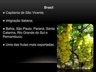 Brasil 
● Capitania de São Vicente; 
● Imigração Italiana; 
● Bahia, São Paulo, Paraná, Santa 
Catarina, Rio Grande do Sul e 
Pernambuco; 
● Uma das frutas mais exportadas. 
 