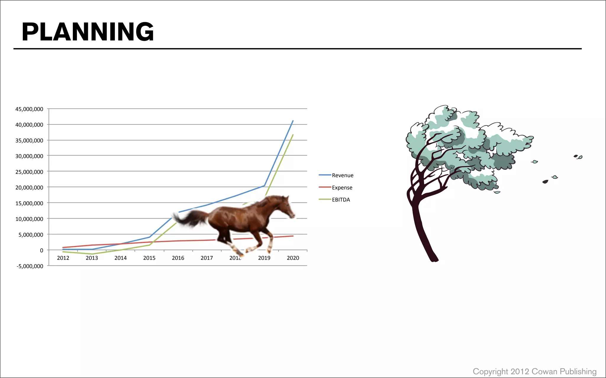 !5,000,000%
0%
5,000,000%
10,000,000%
15,000,000%
20,000,000%
25,000,000%
30,000,000%
35,000,000%
40,000,000%
45,000,000%
2012% 2013% 2014% 2015% 2016% 2017% 2018% 2019% 2020%
Revenue%
Expense%
EBITDA%
Copyright 2012 Cowan Publishing
PLANNING
 