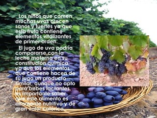 Los niños que comen muchas uvas crecen sanos y fuertes ya que esta fruta contiene elementos vitalizantes de primer orden. El jugo de uva podría compararse con la leche materna en su constitución química, ya que los elementos que contiene hacen de su jugo un producto similar, aunque no apto para bebes lactantes, es importante saber que este alimento es altamente nutritivo y de gran valor calórico. 