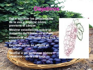 Objetivos Dar a conocer las propiedades de la uva y explicar cómo  previene el cáncer. Mostrar estadísticas sobre el aumento del cáncer  en el Perú. Incentivar el consumo de la uva tinta. Explicar cómo se origina el cáncer. Mostrar a las personas platos creativos con la uva tinta. 