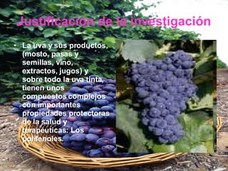 Justificación de la investigación La uva y sus productos, (mosto, pasas y semillas, vino, extractos, jugos) y sobre todo la uva tinta, tienen unos compuestos complejos con importantes propiedades protectoras de la salud y terapéuticas: Los polifenoles.  