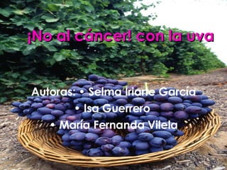 ¡No al cáncer! con la uva Autoras: • Selma Iriarte García •  Isa Guerrero  •  María Fernanda Vilela 