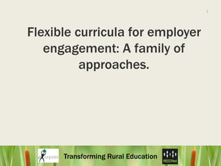 1 Flexible curricula for employer engagement: A family of approaches.  