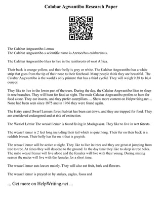 Calabar Agwantibo Research Paper
The Calabar Angwantibo Lemus
The Calabar Angwantibo s scientific name is Arctocebus calabarensis.
The Calabar Angwantibo likes to live in the rainforests of west Africa.
Their back is orange yellow, and their belly is grey or white. The Calabar Angwantibo has a white
strip that goes from the tip of their nose to their forehead. Many people think they are beautiful. The
Calabar Angwantibo is the world s only primate that has a third eyelid. They will weigh 9.38 to 16.4
ounces.
They like to live in the lower part of the trees. During the day, the Calabar Angwantibo likes to sleep
in tree branches. They will hunt for food at night. The male Calabar Angwantibo prefers to hunt for
food alone. They eat insects, and they prefer caterpillars. ... Show more content on Helpwriting.net ...
None had been seen since 1875 and in 1966 they were found again.
The Hairy eared Dwarf Lemurs forest habitat has been cut down, and they are trapped for food. They
are considered endangered and at risk of extinction.
The Weasel Lemur The weasel lemur is found living in Madagascar. They like to live in wet forests.
The weasel lemur is 2 feet long including their tail which is quiet long. Their fur on their back is a
reddish brown. Their belly has fur on it that is grayish.
The weasel lemur will be active at night. They like to live in trees and they are great at jumping from
tree to tree. At times they will descend to the ground. In the day time they like to sleep in tree holes.
The male weasel lemur will live alone and the females will live with their young. During mating
season the males will live with the females for a short time.
The weasel lemur eats leaves mainly. They will also eat fruit, bark and flowers.
The weasel lemur is preyed on by snakes, eagles, fossa and
... Get more on HelpWriting.net ...
 