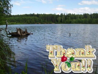 What can we do to help the Earth?