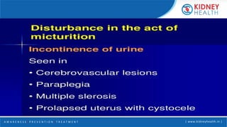 A W A R E N E S S | P R E V E N T I O N | T R E A T M E N T | www.kidneyhealth.in |
 