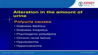 A W A R E N E S S | P R E V E N T I O N | T R E A T M E N T | www.kidneyhealth.in |
 