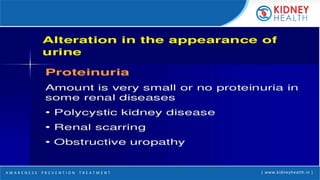 A W A R E N E S S | P R E V E N T I O N | T R E A T M E N T | www.kidneyhealth.in |
 