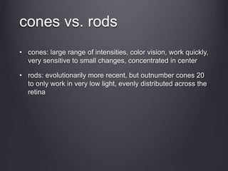 cones vs. rods
• cones: large range of intensities, color vision, work quickly,
very sensitive to small changes, concentrated in center
• rods: evolutionarily more recent, but outnumber cones 20
to only work in very low light, evenly distributed across the
retina
 