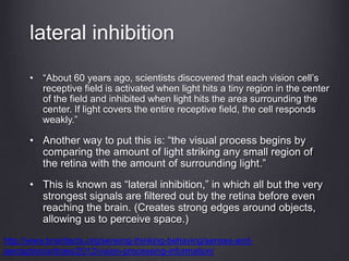 lateral inhibition
• “About 60 years ago, scientists discovered that each vision cell’s
receptive field is activated when light hits a tiny region in the center
of the field and inhibited when light hits the area surrounding the
center. If light covers the entire receptive field, the cell responds
weakly.”
• Another way to put this is: “the visual process begins by
comparing the amount of light striking any small region of
the retina with the amount of surrounding light.”
• This is known as “lateral inhibition,” in which all but the very
strongest signals are filtered out by the retina before even
reaching the brain. (Creates strong edges around objects,
allowing us to perceive space.)
http://www.brainfacts.org/sensing-thinking-behaving/senses-and-
perception/articles/2012/vision-processing-information/
 