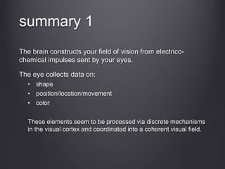 summary 1
The brain constructs your field of vision from electrico-
chemical impulses sent by your eyes.
The eye collects data on:
• shape
• position/location/movement
• color
These elements seem to be processed via discrete mechanisms
in the visual cortex and coordinated into a coherent visual field.
 