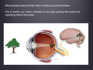 Most people assume that vision works as pictured below.
Put in words: our vision consists of our eyes seeing the world and
reporting that to the brain.
 