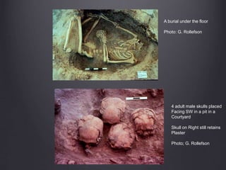 A burial under the floor
Photo: G. Rollefson
4 adult male skulls placed
Facing SW in a pit in a
Courtyard
Skull on Right still retains
Plaster
Photo; G. Rollefson
 