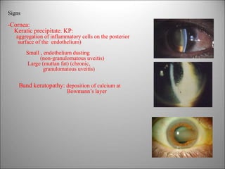 Signs
-Cornea:
Keratic precipitate. KP:
aggregation of inflammatory cells on the posterior
surface of the endothelium)
Small , endothelium dusting
(non-granulomatous uveitis)
Large (muttan fat) (chronic,
granulomatous uveitis)
Band keratopathy: deposition of calcium at
Bowmann’s layer
 