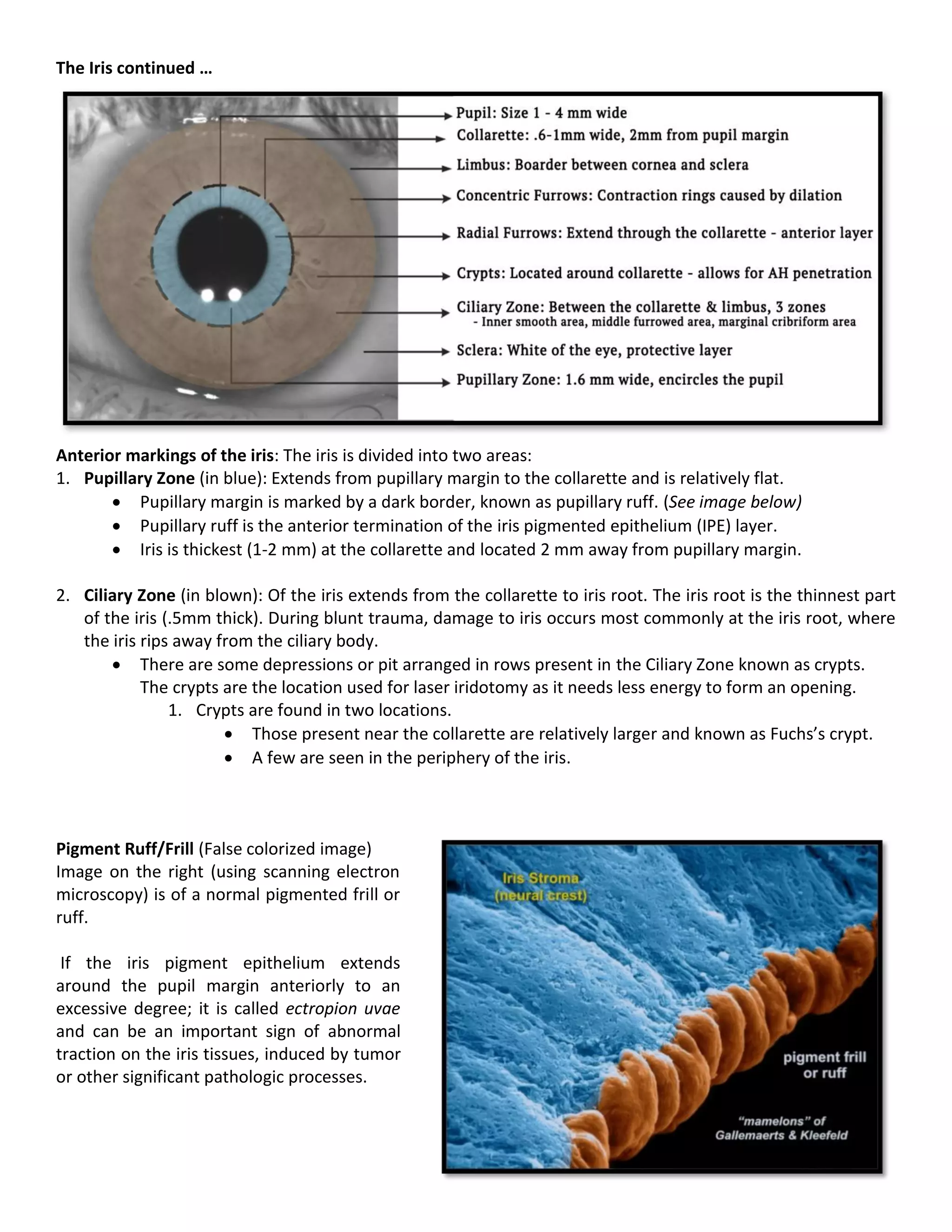 Uveal Tract Review | PDF
