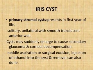 IRIS CYST
• primary stromal cysts:presents in first year of
  life.
 solitary, unilateral with smooth translucent
  anterior wall.
 Cysts may suddenly enlarge to cause secondary
  glaucoma & corneal decompensation.
 neddle aspiration or surgical excision, injection
  of ethanol into the cyst & removal can also
  done.
 