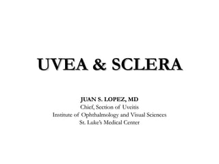 UVEA & SCLERA JUAN S. LOPEZ, MD Chief, Section of Uveitis Institute of Ophthalmology and Visual Sciences St. Luke’s Medical Center 