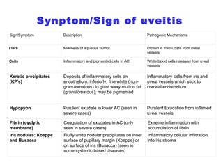 Synptom/Sign of uveitis   Sign/Symptom Description Pathogenic Mechanisms Flare Milkiness of aqueous humor Protein is transudate from uveal vessels Cells Inflammatory and pigmented cells in AC White blood cells released from uveal vessels Fibrin (cyclytic membrane) Coagulation of exudates in AC (only seen in severe cases) Extreme inflammation with accumulation of fibrin  Iris nodules: Koeppe and Busacca Fluffy white nodular precipitates on inner surface of pupillary margin (Koeppe) or on surface of iris (Busacca) (seen in some systemic based diseases) Inflammatory cellular infiltration into iris stroma Keratic precipitates (KP's) Deposits of inflammatory cells on endothelium. inferiorly; fine white (non-granulomatous) to giant waxy mutton fat (granulomatous); may be pigmented Inflammatory cells from iris and uveal vessels which stick to corneal endothelium Hypopyon Purulent exudate in lower AC (seen in severe cases) Purulent Exudation from inflamed uveal vessels 