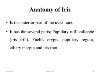 UVEA TRACT. MUK.pptx