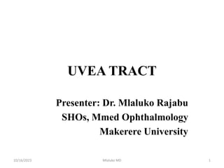 UVEA TRACT
Presenter: Dr. Mlaluko Rajabu
SHOs, Mmed Ophthalmology
Makerere University
10/16/2023 Mlaluko MD 1
 
