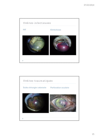 07/03/2010




Uvéites infectieuses

PIF                         Ehrlichiose




Uvéites traumatiques

Suite chirurgie cataracte   Perforation oculaire




                                                          15
 