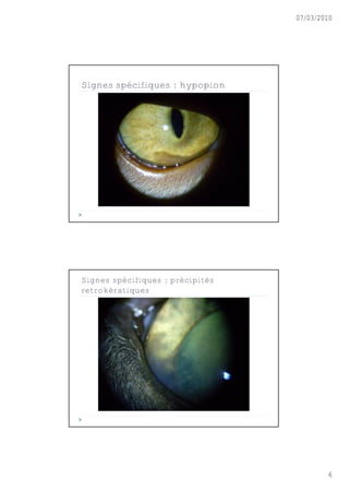 07/03/2010




Signes spécifiques : hypopion




Signes spécifiques : précipités
retrokératiques




                                          6
 