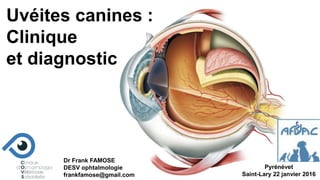 Dr Frank FAMOSE
DESV ophtalmologie
frankfamose@gmail.com
Pyrénévet
Saint-Lary 22 janvier 2016
Uvéites canines :
Clinique
et diagnostic
 