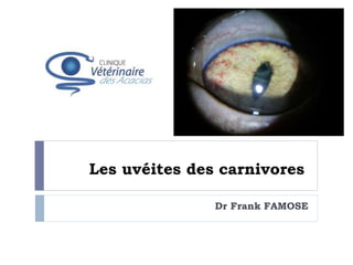 Les uvéites des carnivores
Dr Frank FAMOSE
 