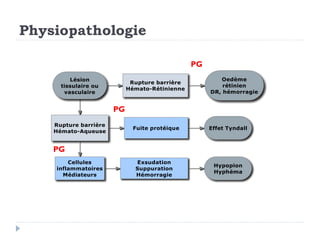 Physiopathologie
PG
PG
PG
 