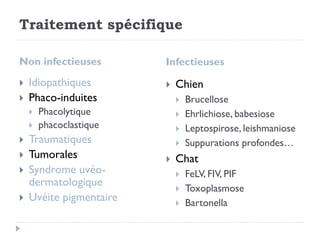 Traitement spécifique
Non infectieuses Infectieuses
 Idiopathiques
 Phaco-induites
 Phacolytique
 phacoclastique
 Traumatiques
 Tumorales
 Syndrome uvéo-
dermatologique
 Uvéite pigmentaire
 Chien
 Brucellose
 Ehrlichiose, babesiose
 Leptospirose, leishmaniose
 Suppurations profondes…
 Chat
 FeLV, FIV, PIF
 Toxoplasmose
 Bartonella
 