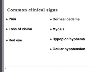 Common clinical signs
►Pain
►Loss of vision
►Red eye
►Corneal oedema
►Myosis
►Hypopion/hyphema
►Ocular hypotension
 