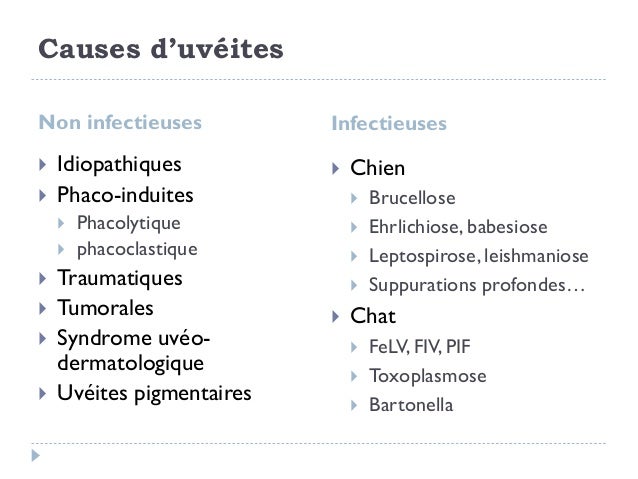 Uveites Famose Saint Lary 16