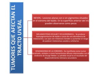 TUMORES QUE AFECTAN EL 
TRACTO UVEAL 
NEVOS.- Lesiones planas con o sin pigmentos situados 
en el estroma del tejido. En la superficie anterior del iris 
pueden observarse como pecas 
MELANOCITOSIS OCULAR Y OCULODERMICA.- Se produce 
hiperpigmentacion de tejido a causa de una abundancia de 
melanocitos, Los ojos con melanosis tienden a aumentar el riesgo 
de padecer melanomas uveales y orbitarios 
HEMANGIOMA DE LA COROIDES.- Se manifiesta como tumor 
localizado, aislados o como hemartomas difusos relacionados con el 
síndrome de SturgeWeber. La pérdida visual es el resultado del 
desprendimiento retiniano secundario 
 
