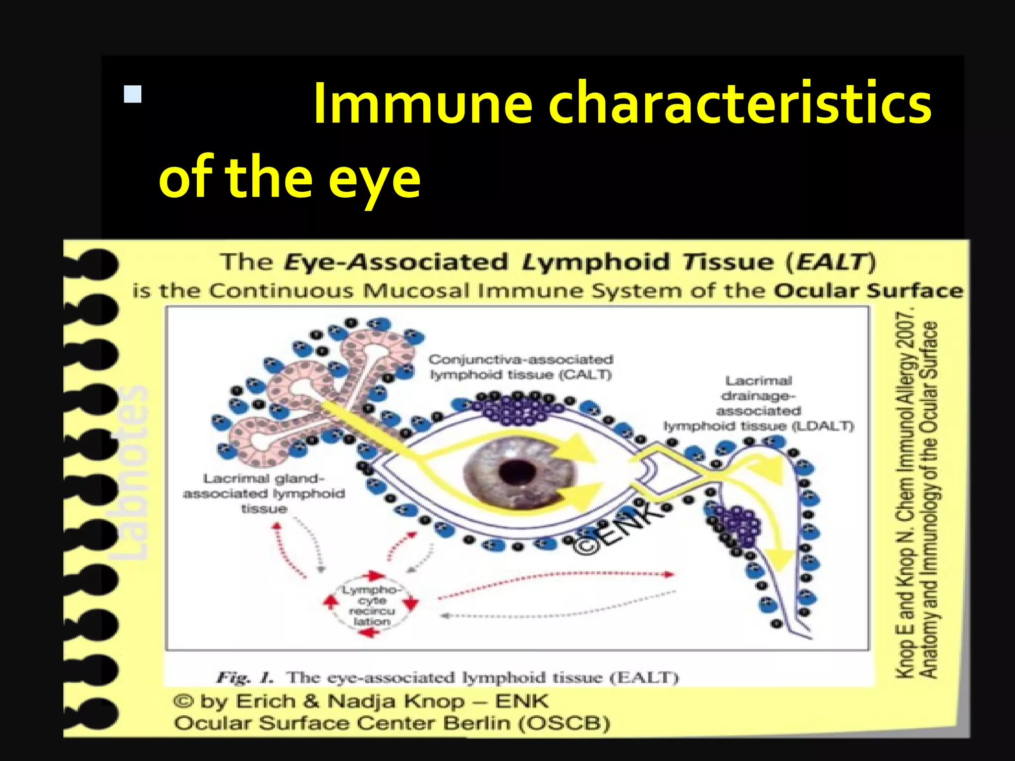  Immune characteristics
of the eye
 