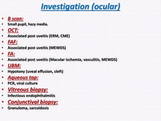 Investigation (ocular)
• B scan:
• Small pupil, hazy media.
• OCT:
• Associated post uveitis (ERM, CME)
• FAF:
• Associated post uveitis (MEWDS)
• FA:
• Associated post uveitis (Macular ischemia, vasculitis, MEWDS)
• UBM:
• Hypotony (uveal effusion, cleft)
• Aqueous tap:
• PCR, viral culture
• Vitreous biopsy:
• Infectious endophthalmitis
• Conjunctival biopsy:
• Granuloma, sarcoidosis
 
