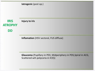 IRIS
ATROPHY
DD
Iatrogenic (post op.)
Injury to iris
Inflamation (HSV sectoral, FUS diffuse)
Glaucoma (Pupillary in PEX, Midperiphery in PDS,Spiral in ACG,
Scattered wih polycoria in ICE$)
 