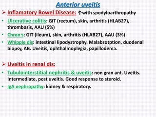Anterior uveitis
 Inflamatory Bowel Disease: ↑with spodyloarthropathy
• Ulcerative colitis: GIT (rectum), skin, arthritis (HLAB27),
thrombosis, AAU (5%)
• Chron̛s: GIT (ileum), skin, arthritis (HLAB27), AAU (3%)
• Whipple dis: intestinal lipodystrophy. Malabsotption, duodenal
biopsy, AB. Uveitis, ophthalmoplegia, papillodema.
 Uveitis in renal dis:
• Tubulointerstitial nephritis & uveitis: non gran ant. Uveitis.
Intermediate, post uveitis. Good response to steroid.
• IgA nephropathy: kidney & respiratory.
 