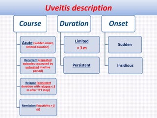 Uveitis description
Course
Acute (sudden onset,
limited duration)
Recurrent (repeated
episodes separated by
untreated inactive
period)
Relapse (persistent
duration with relapse < 3
m after TTT stop)
Remission (inactivity > 3
m)
Duration
Limited
< 3 m
Persistent
Onset
Sudden
Insidious
 