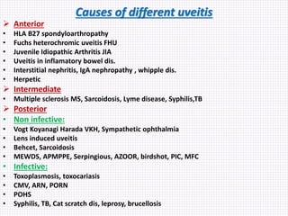 Causes of different uveitis
 Anterior
• HLA B27 spondyloarthropathy
• Fuchs heterochromic uveitis FHU
• Juvenile Idiopathic Arthritis JIA
• Uveitis in inflamatory bowel dis.
• Interstitial nephritis, IgA nephropathy , whipple dis.
• Herpetic
 Intermediate
• Multiple sclerosis MS, Sarcoidosis, Lyme disease, Syphilis,TB
 Posterior
• Non infective:
• Vogt Koyanagi Harada VKH, Sympathetic ophthalmia
• Lens induced uveitis
• Behcet, Sarcoidosis
• MEWDS, APMPPE, Serpingious, AZOOR, birdshot, PIC, MFC
• Infective:
• Toxoplasmosis, toxocariasis
• CMV, ARN, PORN
• POHS
• Syphilis, TB, Cat scratch dis, leprosy, brucellosis
 