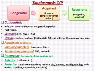 Txoplasmosis C/P
Congenital:
• Infection severity depends on gestation period.
• Tachyzoite.
• Systemic: CNS, fever, HSM
• Ocular: chorioretinal scar (incidental), OA, cat, microphthalmos, corneal scar.
Acquired: subclinical
• Immunecompetent: fever, rash, LN++.
• Immunecompromised: CNS, systemic
Recurrent: tachyzoites from rupture cyst
• Anterior: (spill over AU)
• Posterior: (satellaite necrotizing retinitis old/ denovo, headlight in fog with
vitritis, papillitis, choroiditis, vasculitis)
Congenital
Acquired
(immune
competent/compr
omised)
Recurrent
(congenital/
acquired)
 