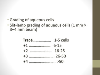 Uveitis | PPTX