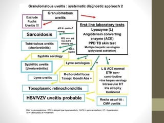 Uveitis Lab Work Up Checklist.pdf Uveitis | PPTX