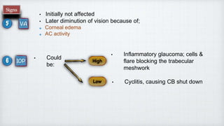 Uveitis | PPTX