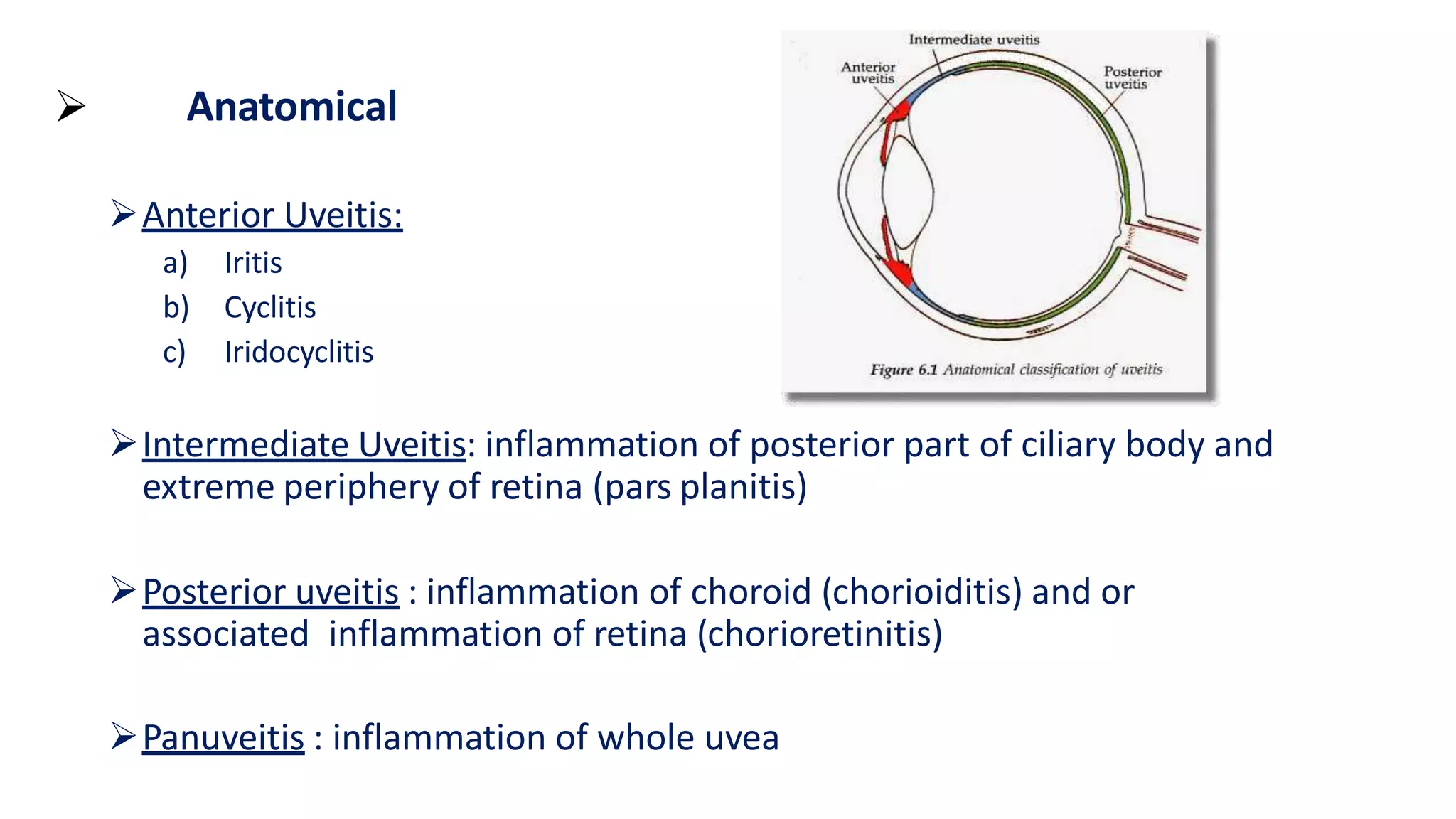  Anatomical
Anterior Uveitis:
a) Iritis
b) Cyclitis
c) Iridocyclitis
Intermediate Uveitis: inflammation of posterior part of ciliary body and
extreme periphery of retina (pars planitis)
Posterior uveitis : inflammation of choroid (chorioiditis) and or
associated inflammation of retina (chorioretinitis)
Panuveitis : inflammation of whole uvea
 