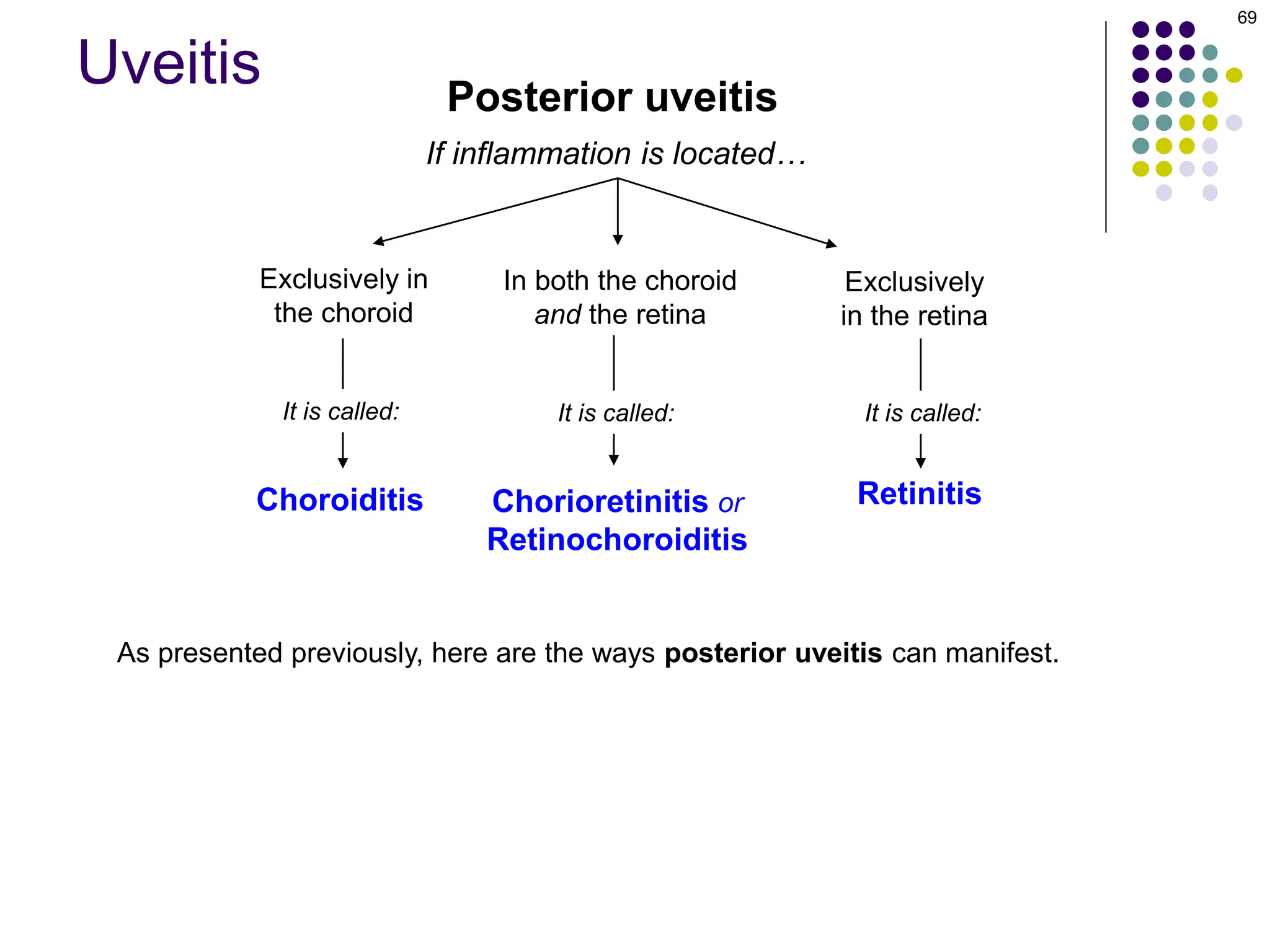 Uveitis in the eye anterior uvitis and posterior uveitis | PDF