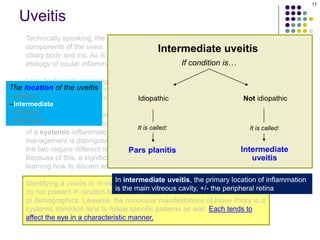 Uveitis in the eye anterior uvitis and posterior uveitis | PDF