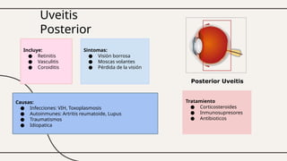 Uveitis
Posterior
Incluye:
● Retinitis
● Vasculitis
● Coroiditis
Causas:
● Infecciones: VIH, Toxoplasmosis
● Autoinmunes: Artritis reumatoide, Lupus
● Traumatismos
● Idiopatica
Sintomas:
● Visiòn borrosa
● Moscas volantes
● Pérdida de la visión
Tratamiento
● Corticosteroides
● Inmunosupresores
● Antibioticos
 
