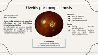 Uveítis por toxoplasmosis
Toxoplasma gondii,
Gato Huésped.
→
Causa más frecuente de retinitis
infecciosa en los individuos
inmunocompetentes.
La inflamación se produce cuando
los quistes se rompen y liberan
centenares de taquizoítos a las
células retinianas normales.
Sintomas
● Moscas volantes
● Pérdida visual
● Fotofobia unilateral.
Signos
● Uveítis anterior
granulomatosa.
● Foco inflamatorio solitario
cerca de una cicatriz
pigmentada antigua.
Tratamiento
Pirimetamina, Sulfadiazina
→ Clindamicina, espiramicina
 