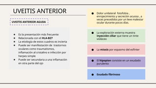 UVEITIS ANTERIOR
★ Es la presentación más frecuente
★ Relacionada con el HLA-B27
★ La etiología de estos cuadros es incierta
★ Puede ser manifestación de trastornos
oculares como traumatismos,
inflamación al cristalino e infección por
herpes simple
★ Puede ser secundaria a una inflamación
en otra parte del ojo
UVEITIS ANTERIOR AGUDA
● Dolor unilateral fotofobia ,
enrojecimiento y secreción acuosa , a
veces precedidos por un leve malestar
ocular durante pocos días.
● La exploración externa muestra
inyección ciliar que tiene un tinte
violáceo
● La miosis por espasmo del esfínter
● El hipopion consiste en un exudado
purulento
● Exudado fibrinoso
 